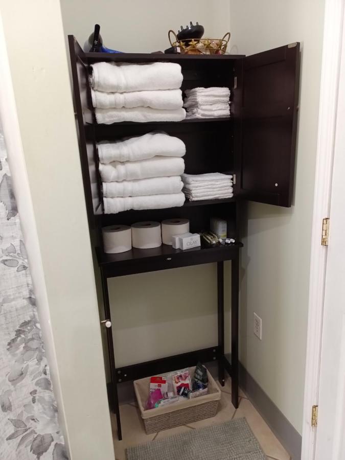 Cozy Updated 3-br Near Peace Bridge Apartment Buffalo